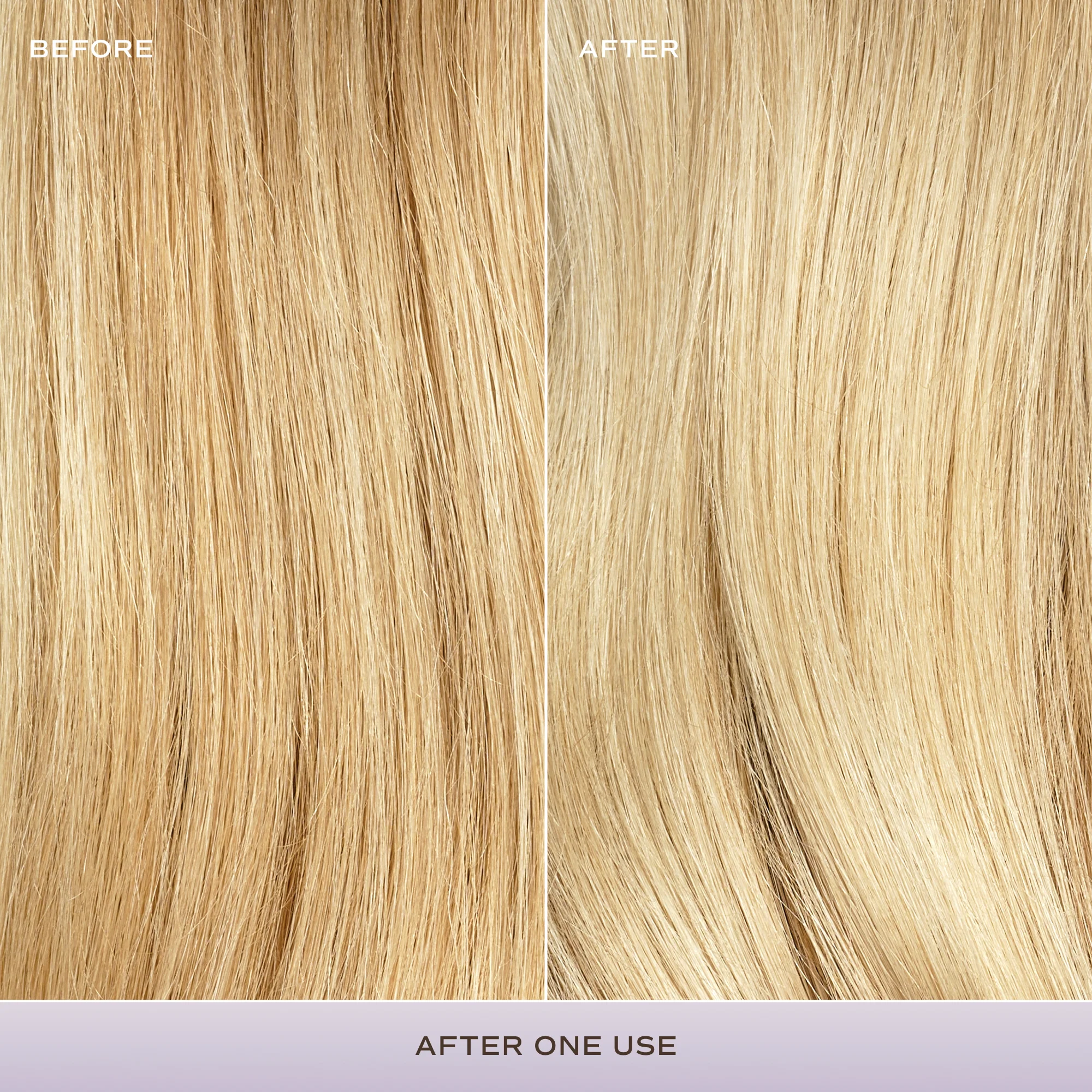 Bright Balance Duo - Image 3