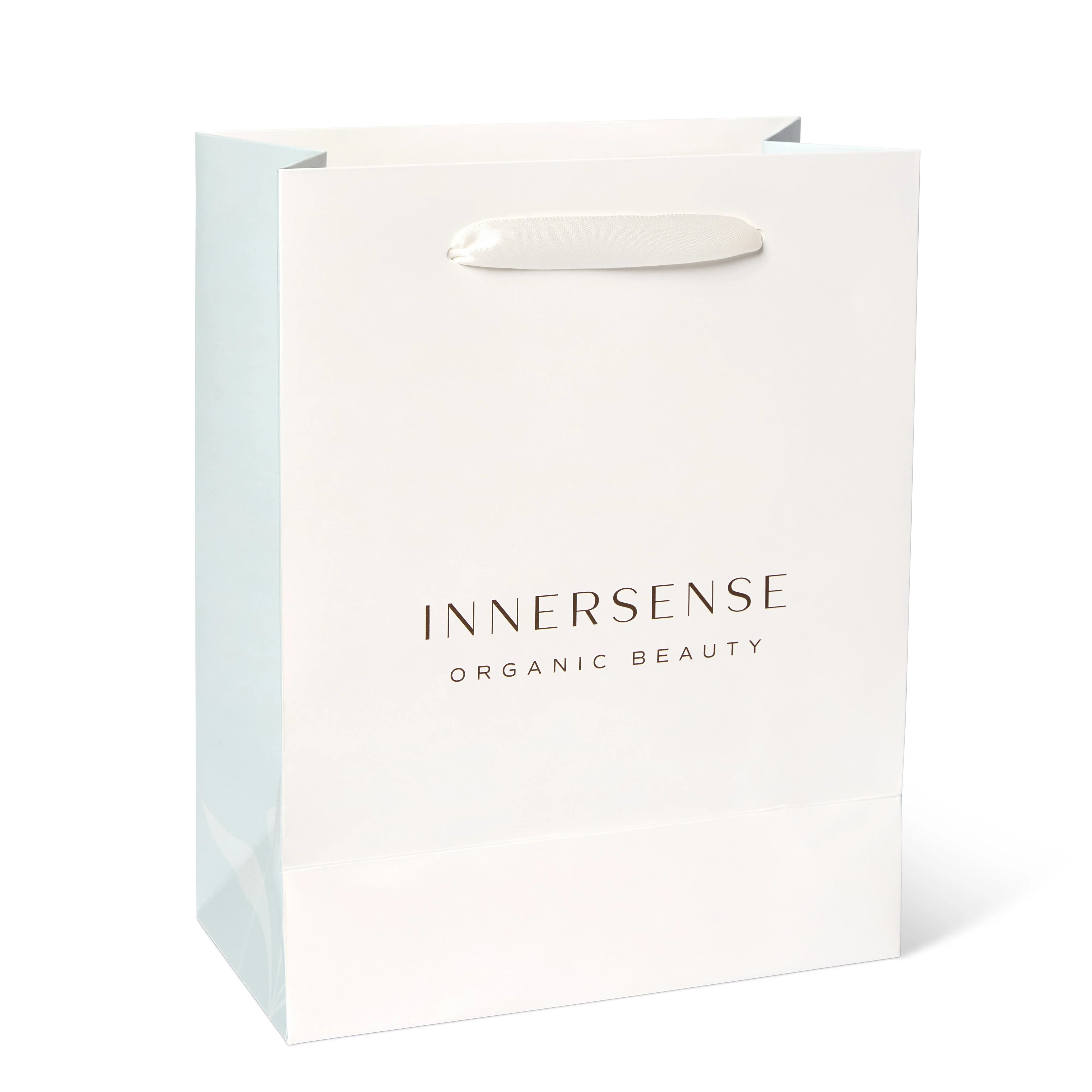 Paper Shopping Bags (Pack of 10)